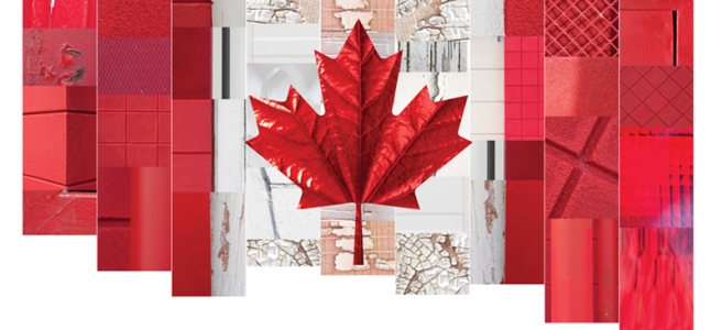Canada 150 ~ Waving Flag